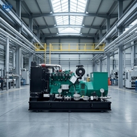 Groupe électrogène Cummins super silencieux de haute qualité, alimenté au gaz, 100 kVA 80 kW, insonorisé, sans carburant, à gaz naturel, à vendre
