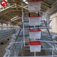 Cage à poulets de type 4 niveaux à installation facile pour 120 poules pondeuses – Idéale pour la création de ferme avicole
