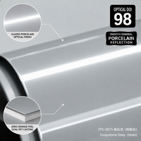 Film de protection de peinture (PPF) en TPU gris soapstone pour Tesla, anti-statique, anti-poussière, rouleau de 1,52x15m, vente en gros, direct usine