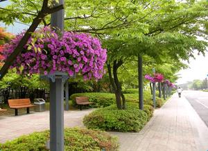 Lamp post planter <b>rectangular</b> Hanging flower <b>pot</b> Floor Boughpot PP Plastic Modern Hanging <b>Rectangular</b> Flower <b>Pot</b> - Product Image 5