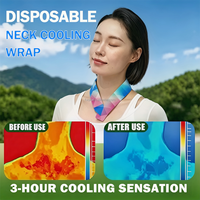 Support Personnaliser Nouveau Design Portable Été Cou Refroidissement Auto Refroidissement Gel Hydrogel Cou Enveloppe pour rendre le corps frais