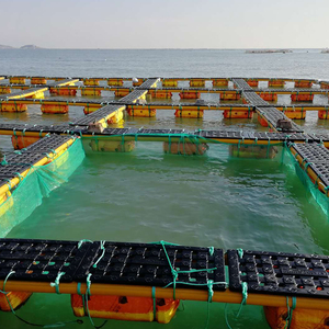 <span class=keywords><strong>Cage</strong></span> flottante pour concombres de mer et abalones <span class=keywords><strong>à</strong></span> <span class=keywords><strong>vendre</strong></span> - Product Image 2