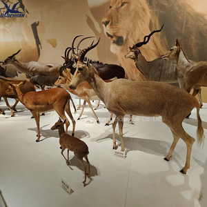 Statua Animatronica di Cervo a Grandezza Naturale di Qualità Museale per Esterni con Costruzione in Silicone e Metallo per Zoo e Parchi - Product Image 5