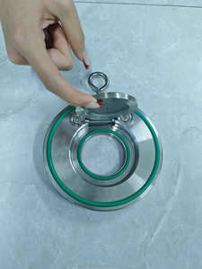 <span class=keywords><strong>Clapet</strong></span> anti-retour à soufflet simple en acier inoxydable pour applications hydrauliques, diamètre DN40-DN300 - Product Image 6