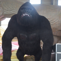 Animal animatronique grandeur nature de haute qualité, fabriqué à la main, pour les zoos, les parcs d'attractions, les musées de la nature, les centres commerciaux en intérieur