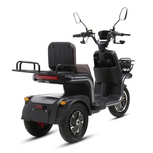 Triciclo Eléctrico Motorizado TXED de Nuevo Diseño, 3 Ruedas, Carrocería Abierta, 60V/1000W, Frenos de Disco Delanteros/Traseros, Uso de Carga, Capacidad de Carga 100-200kg - Product Image 5
