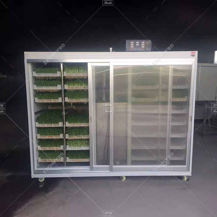 Germogliatore Bio In Vetro PTSUPLES - Kit Completo Per Semi, Con Rete Inox E Guida - Foto 8