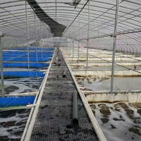 Chine Vente en gros Grande serre en plastique à portée unique Poulailler d'élevage d'animaux simples pour vache cochon mouton