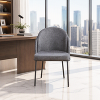 Chaise de salle à manger, ensemble de meubles de restaurant, mobilier de salle à manger nordique moderne, chaises de salle à manger en métal de luxe pas chères pour table à manger