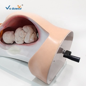 Modèle de formation médicale de haute qualité pour <span class=keywords><strong>cours</strong></span> de naissance et d'accouchement - Product Image 5