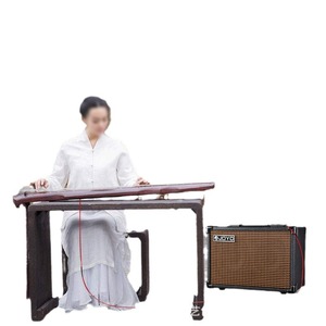 Amplificador Joyo Guqin para instrumentos de cuerda, accesorio para presentaciones en escenario - Product Image 1