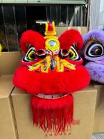 Costumes traditionnels chinois de la danse du lion de Foshan