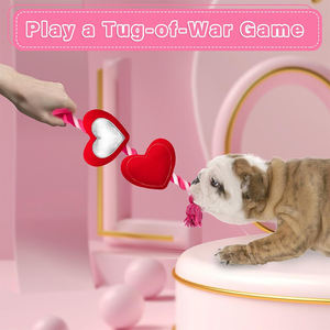 Giocattoli in Corda Personalizzabili e Resistenti per Animali Domestici con Cuore Peluche Sonoro, Giocattolo per Cani da Tiro alla Fune, Simpatici Regali di San Valentino per Cani di Piccola e Media Taglia - Product Image 4