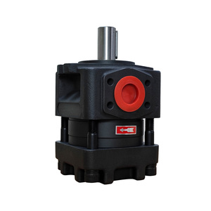 ปั๊ม QT รุ่น QT42-20 20 ซีซี/รอบ NBL4-D20 อุปกรณ์ไฮดรอลิก ปั๊มเกียร์ภายในแบบดิสเพลสเมนต์ 20 ซีซี สำหรับของเหลวขนาดกลาง - Product Image 6