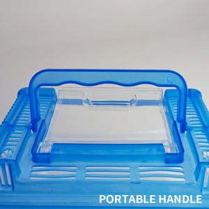 18X11X12Cm Aquaria Met Enkele Vis In Diverse Levendige Kleuren Gekko Habitat Reptielen Voedingstank - Product Image 3