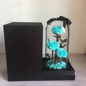 小王子玫瑰在大玻璃圆顶与黑色礼品盒作为情人节礼物