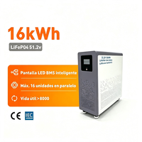Batería Solar de Ciclo Profundo de 16 kWh, 51.2 V, 314 Ah, Fuera de la Red, con Módulo Solar para Balcón, Baterías de Iones de Litio para Equipos Médicos