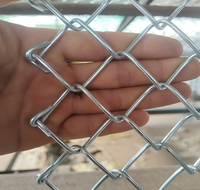 Malla de Alambre Soldada Galvanizada por Inmersión en Caliente, Cortable, Ecológica, Resistente a la Corrosión, Tipo Diamante, para Cercas de Ganado, Ovejas y Pollos
