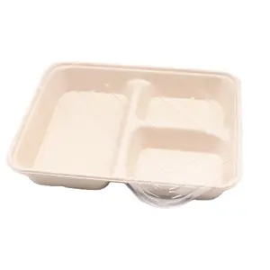 Biodegradable 3 Compartment Tableware Paper Pulp Tray Sugar Cane Sugarcane Bagasse Box clear lid