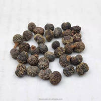 Baies de Palmier Nain Séchées (Semenas de Serenoa Repens) – Récolte Sauvage – Morceaux, Sachet, Emballage, Mélange, Capsule, Extrait pour la Santé de la Prostate Masculine (OEM)