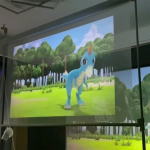 Rear and Front Holographic <strong>Transparent</strong> Film for <strong>Projection</strong> on the Glass Window - Product Image 2