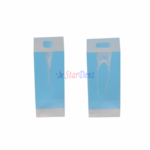 Dentale Pratica di Formazione di Blocchi di Due <span class=keywords><strong>Root</strong></span> <span class=keywords><strong>Canal</strong></span> Endo Endodonzia Studente Modello di Insegnamento Odontoiatria - Product Image 4