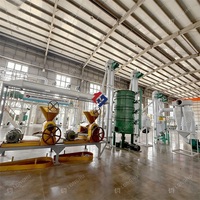 Máquina Prensa de Aceite de 20 TPD a Pequeña Escala, Expulsora de Aceite de Soja y Girasol, Planta Procesadora de Aceite de Copra