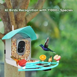 Nourrisseur d'oiseaux avec caméra, prend en charge la reconnaissance d'espèces d'oiseaux par intelligence artificielle, vidéo en - Product Image 3