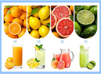 Industriële Kleine Commerciële Gebruik Fruit Juicer Extractor Dubbele Roller Langzame Passievrucht Citrus Sinaasappelsap Maken Machine