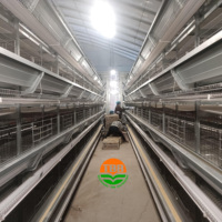 Cage à poulets empilable de type H, équipement d'élevage avicole intelligent, cages à poulets standardisées haute densité, directement de l'usine