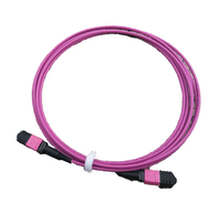 Kabel Breakout MPO 12 96 Serat LC Multimode Optical Patch Cord OM4 Fiber Patch Cable Produk terlaris di pusat data