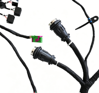 Assemblaggio Personalizzato di Cablaggi per OEM e Motociclette con Isolamento in Nylon - Servizio OEM/ODM