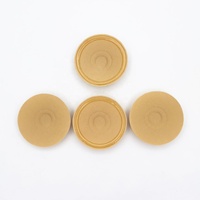 Pegatinas de Silicona para Pezones, Anti-Impactos, Impermeables, Anti-Reflejos, Transpirables, Redondas, Invisibles, para Mujer