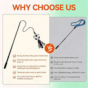 Jouets pour animaux de compagnie officiels de la Coupe du monde <span class=keywords><strong>FIFA</strong></span> 2026, jouets interactifs pour chiens, jouets de poursuite pour chiens, bâton extensible pour chiens pour l'exercice en plein air - Product Image 4