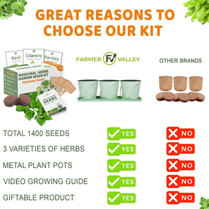 Modern Home Kitchen Starter Kit with Non-GMO <strong>Basil</strong> Herb Indoor/Outdoor Food Medicinal Tea Iron Plastic Fresh Food <strong>Container</strong> - Product Image 4