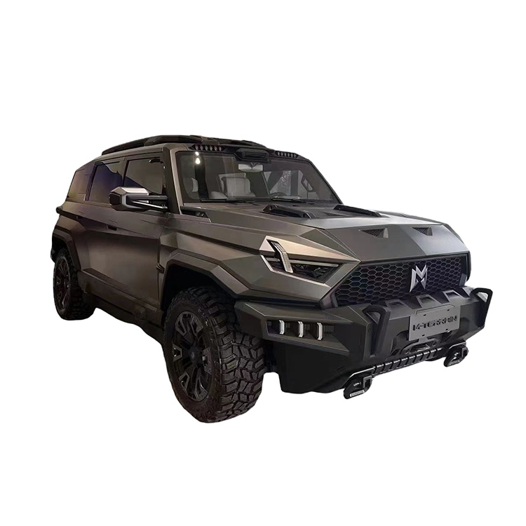 Mengshi m Terrain