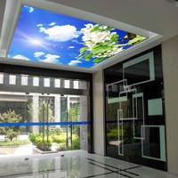 Decorative False Ceiling Fabric, Polystyrene PVC