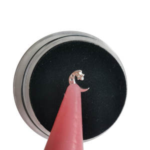 925 argent plaqué argent pur dents gemme outil incrusté Zircon étoile lune soirée décoration dent gemmes pour dents blanchissant bandes - Product Image 4