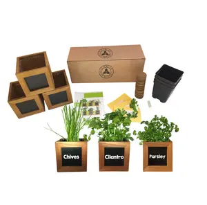 Kit de démarrage de jardin de culture d'herbes de petites plantes de cuisine d'intérieur Diy sans graine