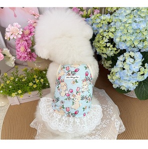 Ropa <span class=keywords><strong>de</strong></span> Verano para Perros y Gatos <span class=keywords><strong>Pequeños</strong></span>, Bonita y Elástica, Transpirable, Vestido con Tirantes Estilo Japonés y Coreano, para Teddy, Bichón, Maltés, <span class=keywords><strong>de</strong></span> Poliéster - Product Image 6