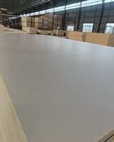 Contreplaqué 4x8 18mm à âme en eucalyptus, colle phénolique WBP, certifié FSC ENF CARB P2, coupe nette, prix de gros pour présentoirs de magasin de détail