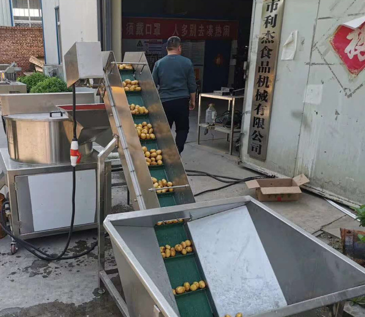 人工效果猕猴桃刀削皮机用刀 - buy commercial kiwi peeler,kiwi