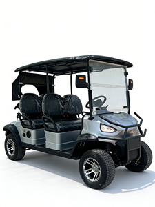 Voiturette de golf 2 places avec pare-chocs avant et cadre de protection en fer, support de sac de golf en option et housse de sac imperméable - Product Image 5