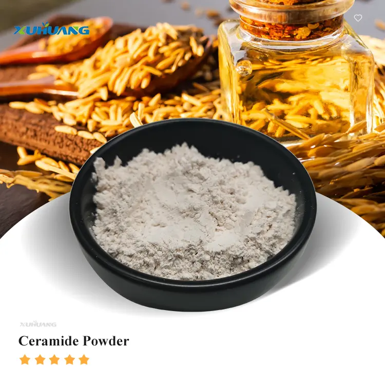 Cosmetic Grade 99% Cramide Powder High quality Rice Bran Extract Ceramide Powder