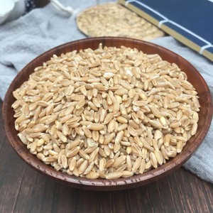 Fructus Tritici <span class=keywords><strong>Levis</strong></span>, Trigo Flotante, Trigo Claro, Hierba Medicinal China Seca Fu Xiao Mai, en Venta - Product Image 3
