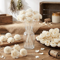 Tige de diffuseur de roseau mixte Sola à tige mixte fleur en bois diffuseur de fleur blanche Sola fleur avec corde en coton