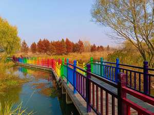 חוזק גבוה frp פרופיל מרושל פיברגלס מזוין צינור פלסטיק מרובעת - Product Image 3