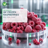 XMSD Beste Delish IQF Diepvries Frambozen Verse Zwarte Rode Pitloze Gezoete Fruit Groothandelsprijzen