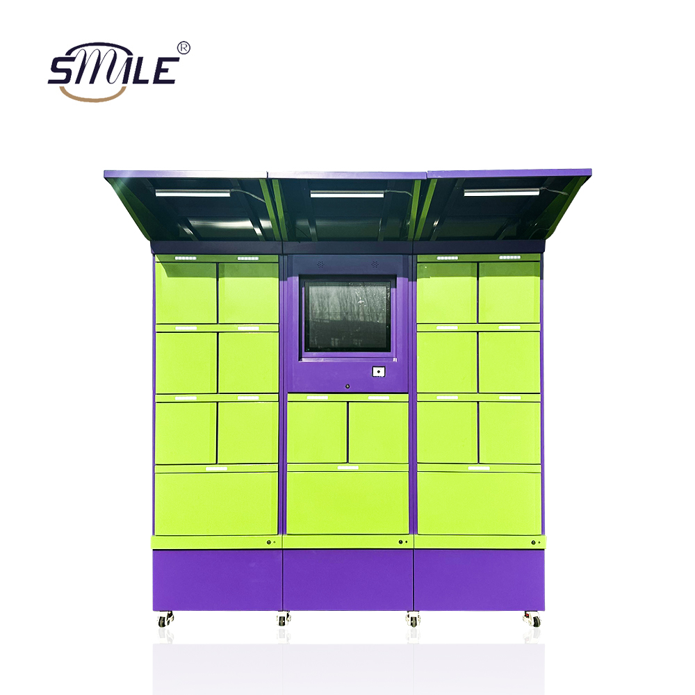Customized Smart Parcel Storage Locker with Multi-User Delivery Solution Intelligent Mailbox
