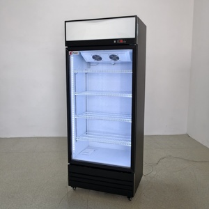 Réfrigérateur vertical commercial pour boissons, à température unique, avec porte vitrée et étagères réglables, à température mécanique - Product Image 6